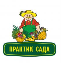 ПРАКТИК САДА