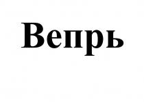 Вепрь