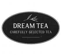 DREAM TEA CAREFULLY SELECTED TEA