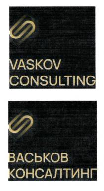 VASKOV CONSULTING ВАСЬКОВ КОНСАЛТИНГ