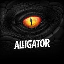 ALLIGATOR