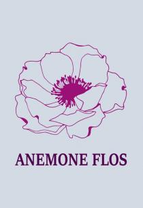 ANEMONE FLOS