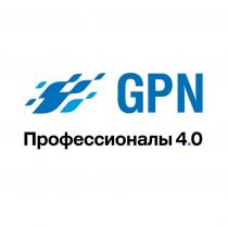 GPN Профессионалы 4.0.