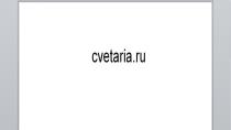 cvetaria (кветария)