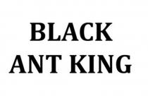 Black Ant King