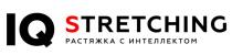 IQ STRETCHING РАСТЯЖКА С ИНТЕЛЛЕКТОМ