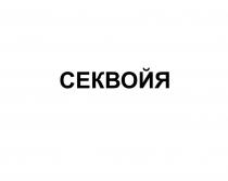 СЕКВОЙЯ