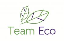 Словесное обозначение выполнено латинскими буквами, состоящее из двух слов Team Eco, первые буквы слов заглавные, последующие прописные. Между словами пробел. Словесно звучит как «Тим Эко». В словосочетании «Team»-зелёного цвета, «Eco»-синего цвета