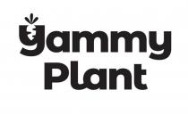 Yammy Plant