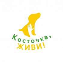 Косточка, ЖИВИ!