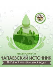 НЕГАЗИРОВАННАЯ «ЧАПАЕВСКИЙ ИСТОЧНИК» ПИТЬЕВАЯ МИНЕРАЛЬНАЯ ВОДА