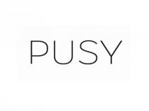 PUSY