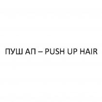 ПУШ АП – PUSH UP HAIR