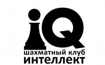 IQ Шахматный клуб Интеллект