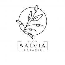 SALVIA