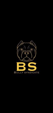 BS BULLY SYNDICATE