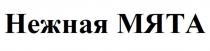 Нежная МЯТА