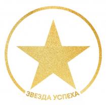 ЗВЕЗДА УСПЕХА