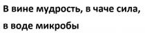 В вине мудрость, в чаче сила, в воде микробы