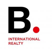 INTERNATIONAL REALTY