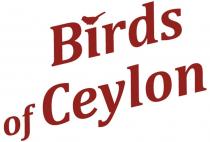 BIRDS OF CEYLON