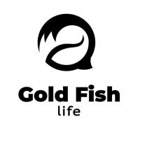 Gold Fish life