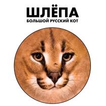 ШЛЁПА БОЛЬШОЙ РУССКИЙ КОТ