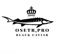 OSETR PRO BLACK CAVIAR