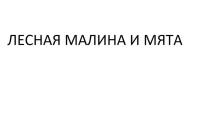 ЛЕСНАЯ МАЛИНА И МЯТА