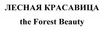 ЛЕСНАЯ КРАСАВИЦА the Forest Beauty