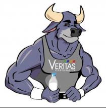 Veritas CORPORATION