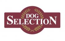 DOG SELECTION