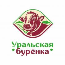 Уральская бурёнка