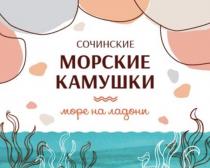 СОЧИНСКИЕ МОРСКИЕ КАМУШКИ море на ладони