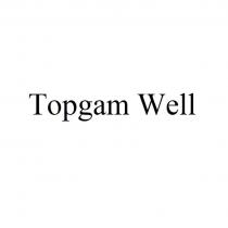 Topgam Well