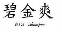 BJS Shampoo