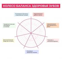 КОЛЕСО БАЛАНСА ЗДОРОВЬЯ ЗУБОВ Дополнительные средства гигиены Профилактические процедуры в клинике Понимание причинно-следственных связей Нормализация работы слюны Нормализация бактериального фона Питание и витаминотерапия Основные средства гигиены FOCUS DALSHE