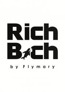 Rich Bch by Flymary