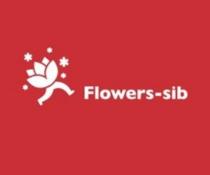 FLOWERS-SIB