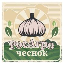 РосАгро чеснок