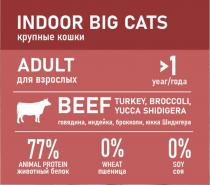 INDOOR BIG CATS ADULT BEEF