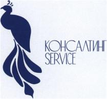 КОНСАЛТИНГ SERVICE