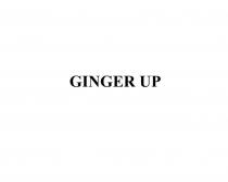 GINGER UP