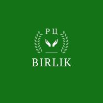 РЦ BIRLIK