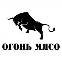 Огонь мясо