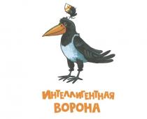 ИНТЕЛЛИГЕНТНАЯ ВОРОНА