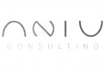 ANIV CONSULTING