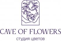 CAVE OF FLOWERS, СТУДИЯ ЦВЕТОВ