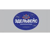 Эдельвейс