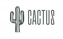 Cactus транслитерация кактус